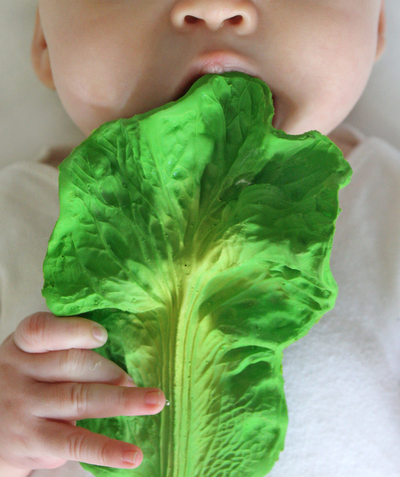 Explore And Learn games and books Tao Categories - CABBAGE LEAF TEETHING TOY