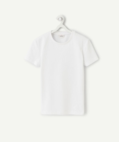 T-shirt  radius - PLAIN WHITE T-SHIRT IN ORGANIC COTTON