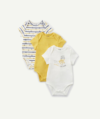 Bodysuit family - PACK OF THREE YELLOW AND GREEN BODIES IN ORGANIC COTTON