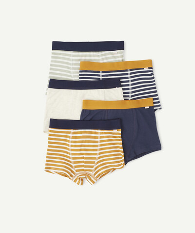 ECODESIGN radius - FIVE PAIRS OF BLUE AND WHITE STRIPED BOXER SHORTS IN ORGANIC COTTON