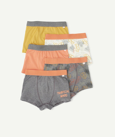 Boy radius - FIVE PAIRS OF GREY AND CORAL JUNGLE BOXER SHORTS IN ORGANIC COTTON