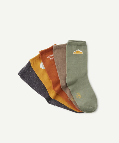 Accessories radius - PACK OF FIVE PAIRS OF LONG SOCKS IN WARM COLOURS