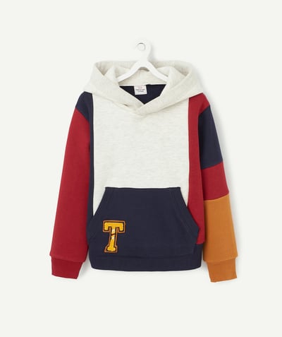 Low prices radius - COLOUR BLOCK SWEATSHIRT IN ORGANIC COTTON WITH A HOOD