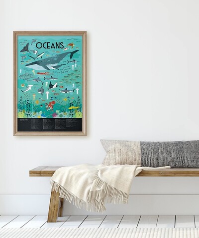 Educational games Tao Categories - OCEAN POSTER WITH 59 REPOSITIONABLE STICKERS