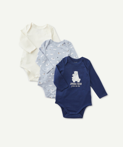 All collection radius - SET OF THREE BLUE BEAR PRINTED BODYSUITS IN ORGANIC COTTON