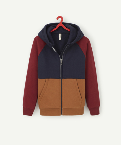 ECODESIGN Tao Categories - BOYS' TRICOLOURED ZIPPED HOODIE IN RECYCLED COTTON
