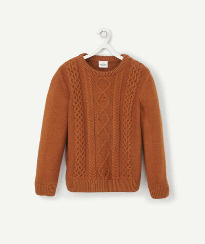 Nice and warm radius - CAMEL CABLE PATTERN JUMPER