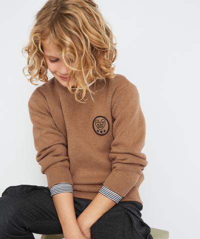 Pullover - Cardigan radius - BOYS' BROWN KNITTED JUMPER WITH A CREST