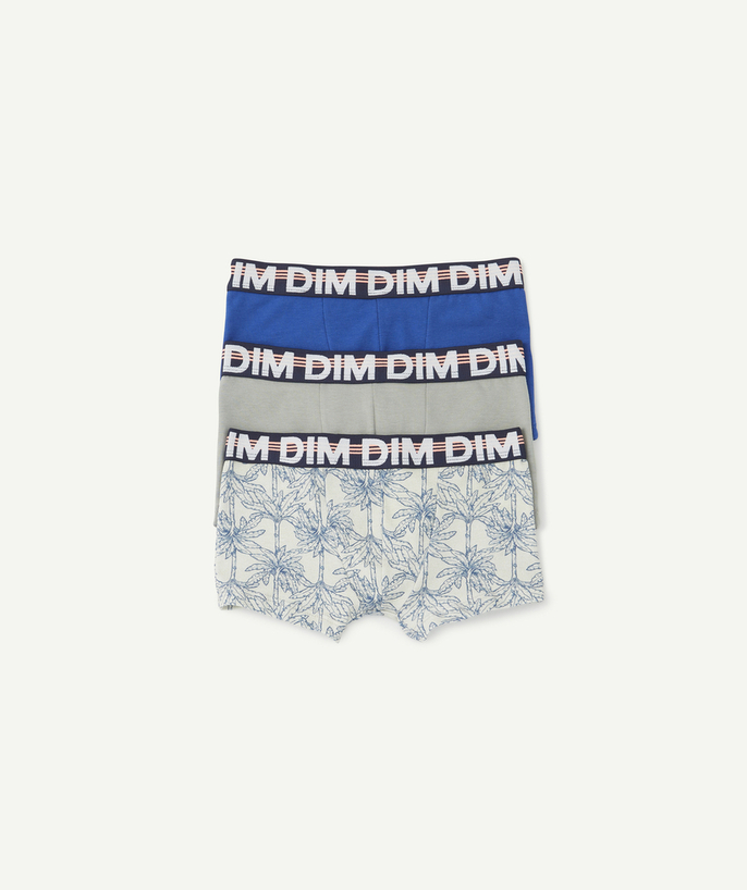 DIM ® Sub radius in - SET OF 3 GREY-BLUE AND PRINTED COTTON STRETCH BOXERS
