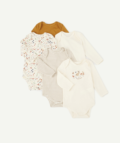 Baby-boy radius - PACK OF FIVE BABIES' BODYSUITS IN ORGANIC COTTON WITH A SQUIRREL DESIGN