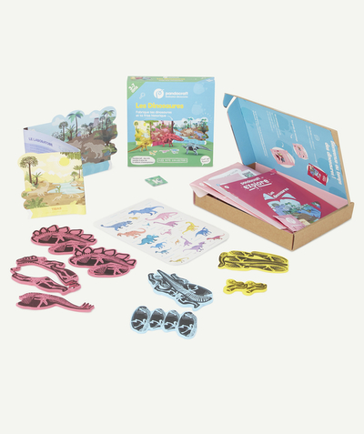 Fille Rayon - KIT LES DINOSAURES 8-12 ANS