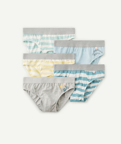 Boy radius - PACK OF FIVE PAIRS OF STRIPED BRIEFS IN ORGANIC COTTON