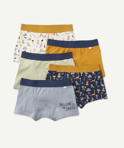 Boy radius - PACK OF FIVE PAIRS OF PLAIN AND PRINTED ORGANIC COTTON BOXERS