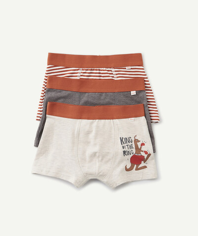 Boy radius - PACK OF THREE PAIRS OF GREY AND RUST BOXER SHORTS IN ORGANIC COTTON