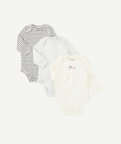 Bodysuit family - PACK OF THREE STRIPED AND PLAIN ORGANIC COTTON BODYSUITS