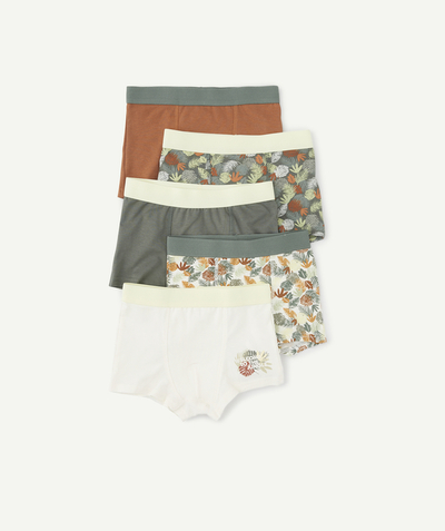 Underwear radius - PACK OF FIVE PAIRS OF BOYS' BOXERS IN ORGANIC COTTON, PLAIN AND PRINTED
