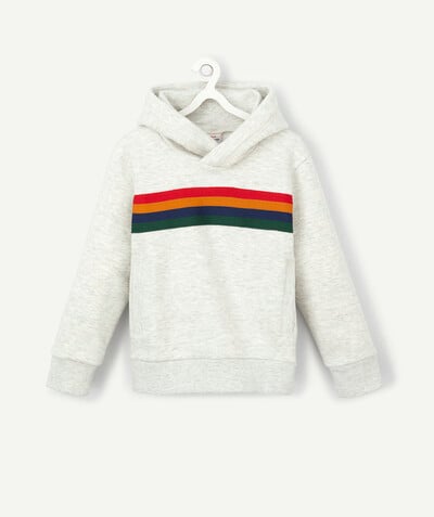 New In radius - GREY HOODED SWEATSHIRT WITH COLOURED BANDS