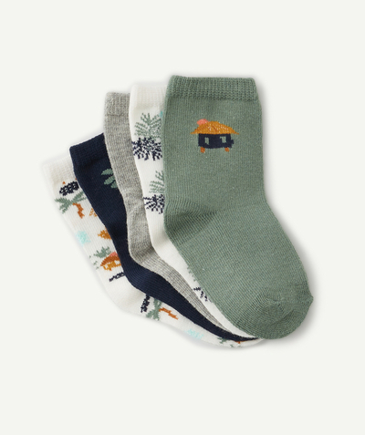 Accessories radius - PACK OF FIVE PAIRS OF BABY BOYS PLAIN AND PRINTED SOCKS