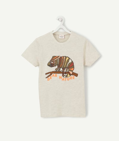 Boy radius - GREY T-SHIRT IN RECYCLED COTTON WITH A COLOURED DESIGN