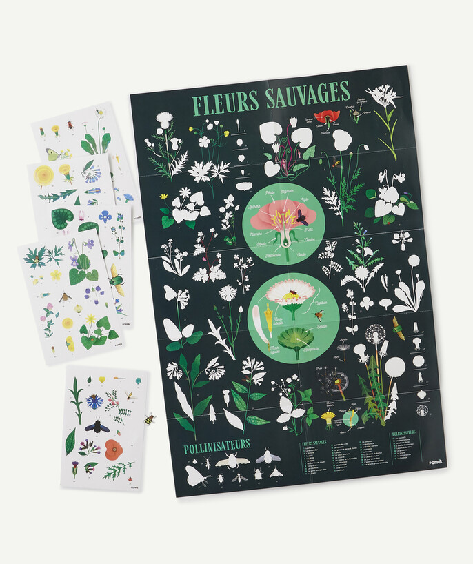 Educational games Tao Categories - POSTER WITH 72 BOTANICAL STICKERS - 7-12 YEARS