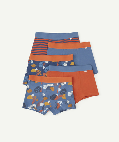 UNDERWEAR  Tao Categories - Pack OF 5 BOYS' ORANGE AND BLUE ORGANIC COTTON BOXER SHORTS
