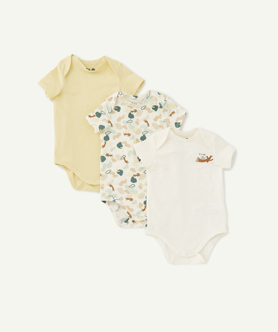 Bodysuit family - PACK OF THREE BODYSUITS IN ORGANIC COTTON, PLAIN OR PRINTED