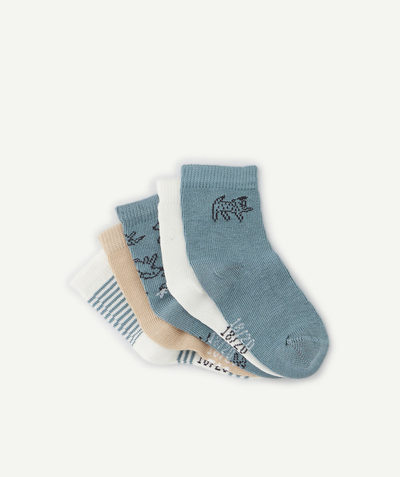 Baby-boy radius - PACK OF SEVEN PAIRS OF BABY BOYS' BLUE AND BEIGE SOCKS WITH DOG MOTIFS