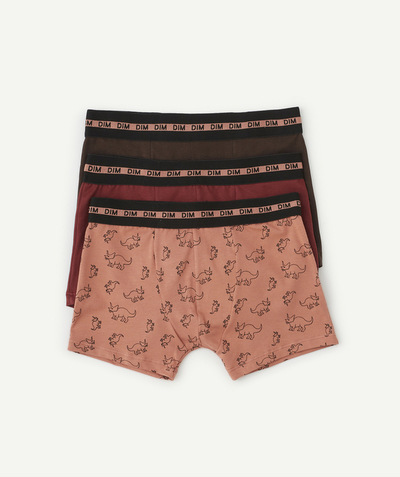Teen boys' clothing radius - PACK OF 3 PAIRS OF STRETCH COTTON FASHION BOXERS IN BURGUNDY AND DINOSAUR PRINT