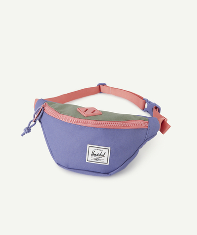 Acessories Sub radius in - HERITAGE BLUE, PINK AND GREEN BUM BAG
